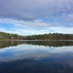 Walden Pond