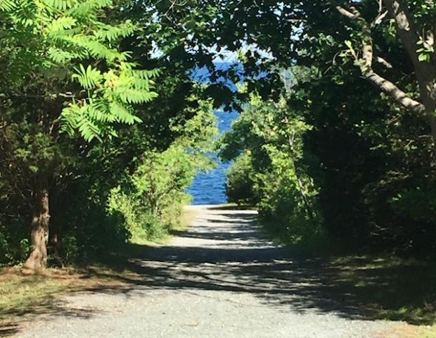 Path with trees and ocean